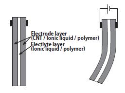 schematic_design