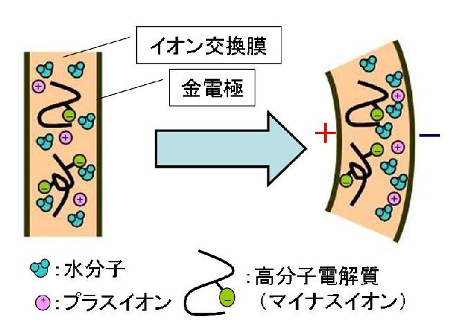 schematic_design