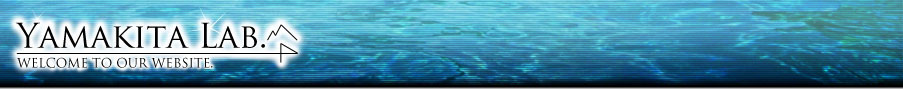 ^CgS